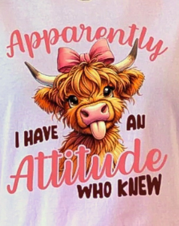 APPARENTLY I HAVE AN ATTITUDE (3 TRANSFERS AVAILABLE FOR THIS PRODUCT)