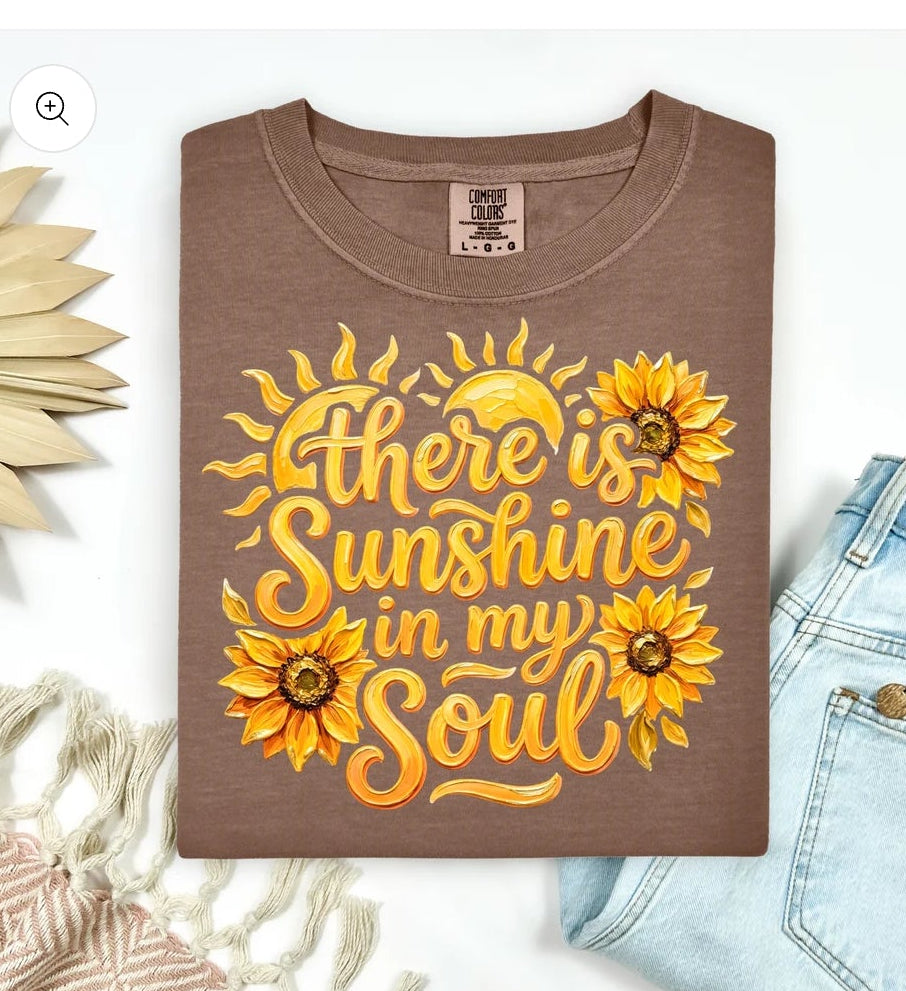 There is Sunshine in my Soul (3 TRANSFERS AVAILABLE FOR THIS PRODUCT) 4/8/26 RTS