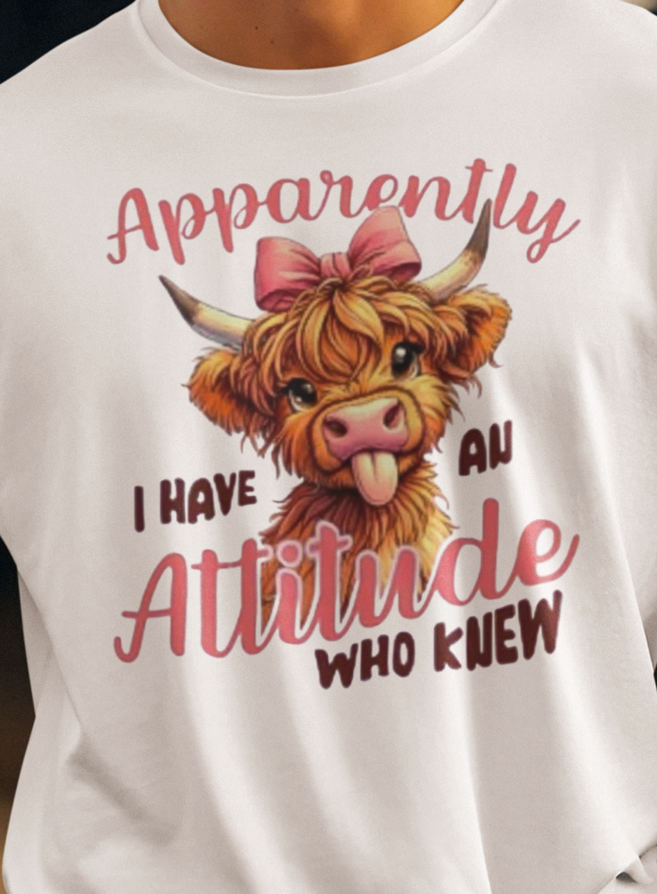 APPARENTLY I HAVE AN ATTITUDE (3 TRANSFERS AVAILABLE FOR THIS PRODUCT)