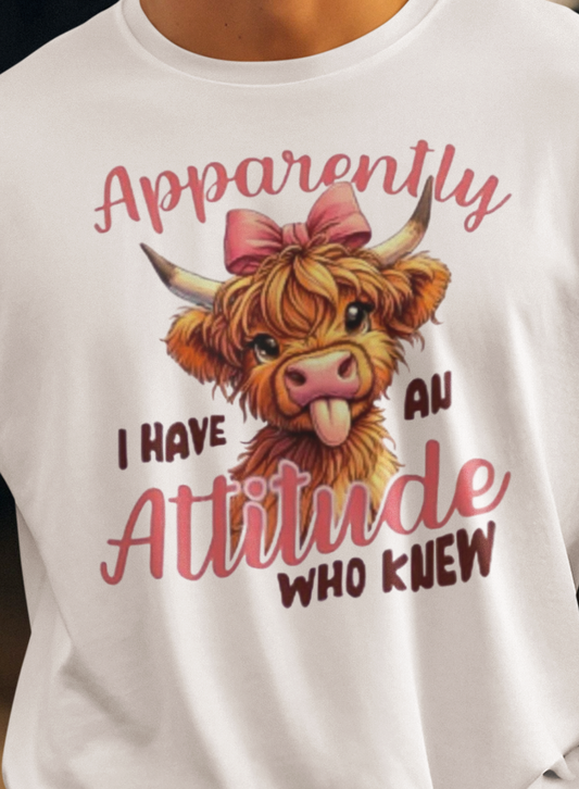 APPARENTLY I HAVE AN ATTITUDE (3 TRANSFERS AVAILABLE FOR THIS PRODUCT)