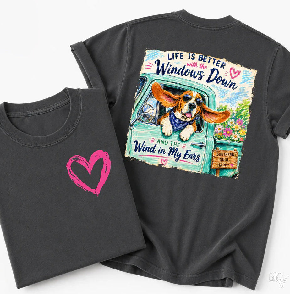 Life is Better with yhe Windows Down (3 Transfers available for pressing)