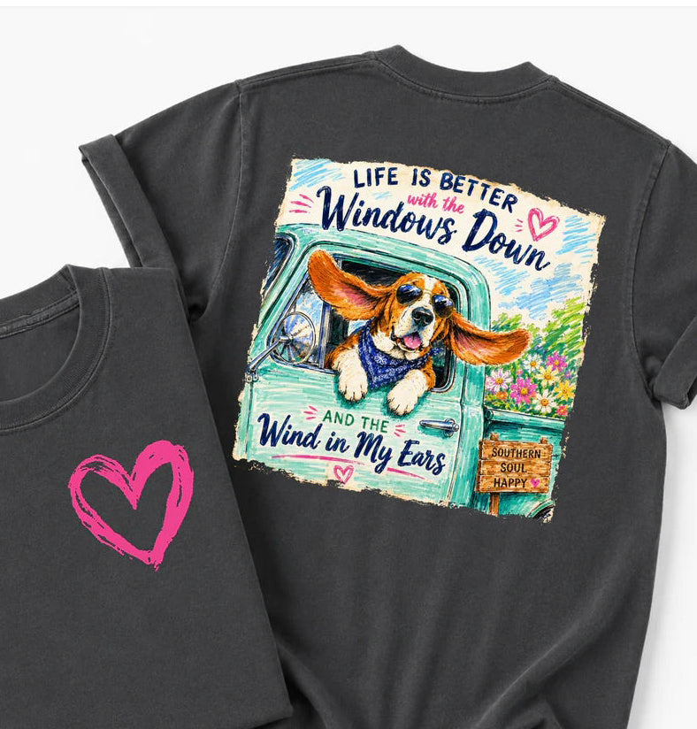 Life is Better with yhe Windows Down (3 Transfers available for pressing)